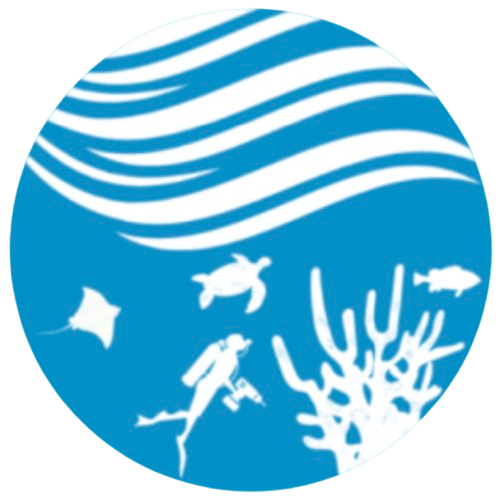 Reef Construction Limited